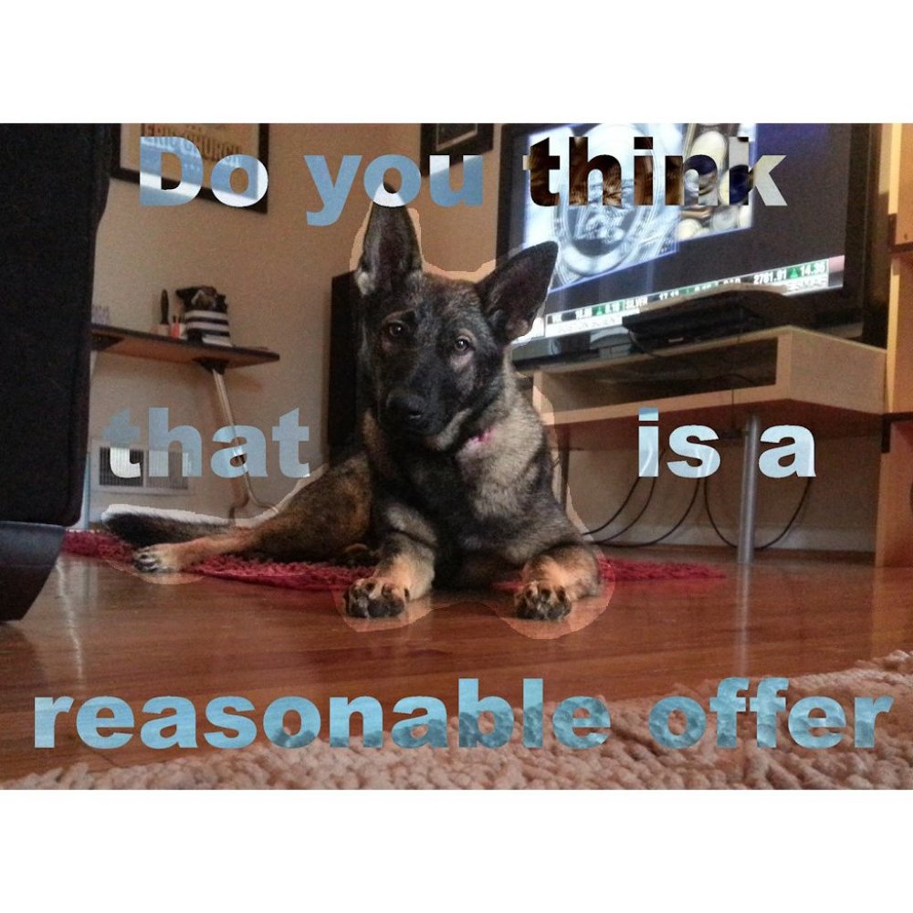 Always looking out for my master